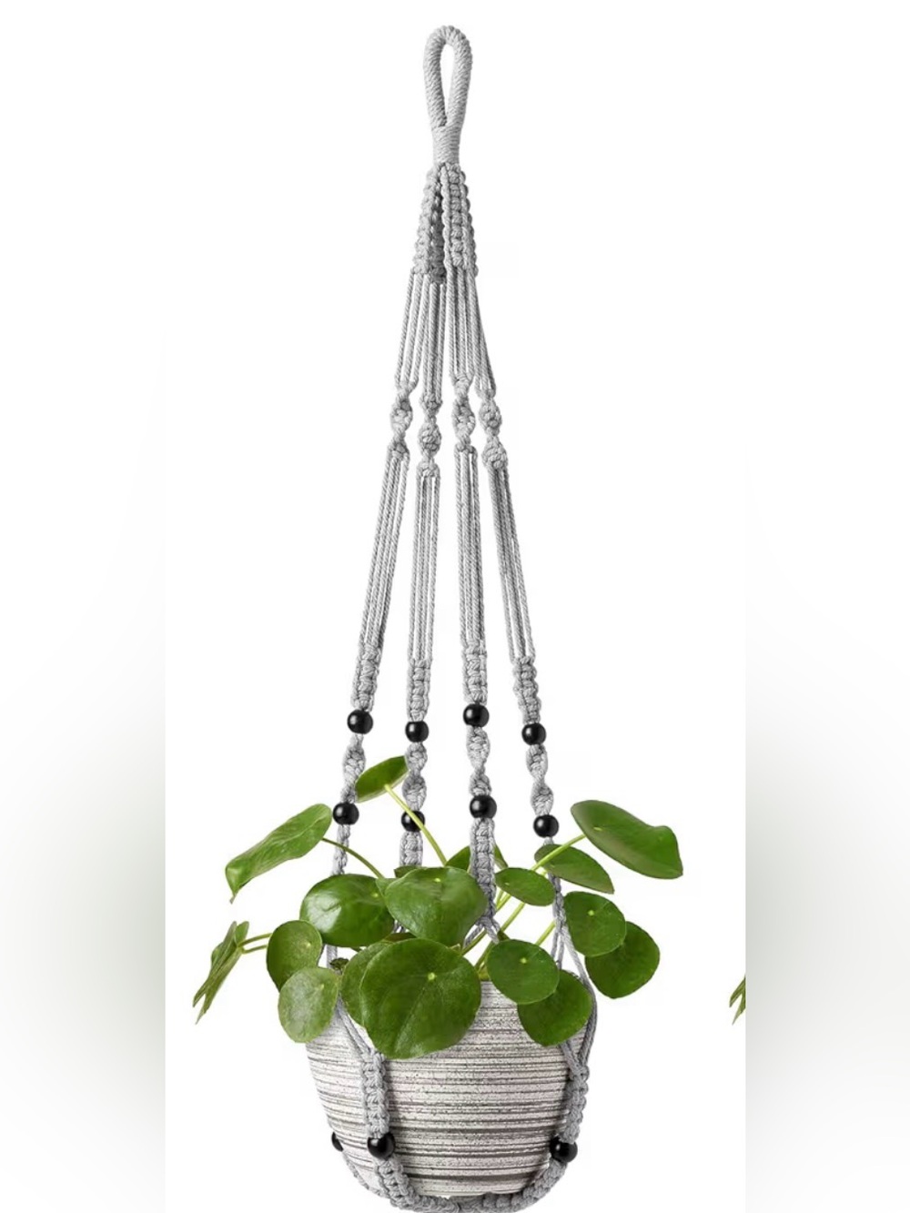 Macrame Plant Hanger